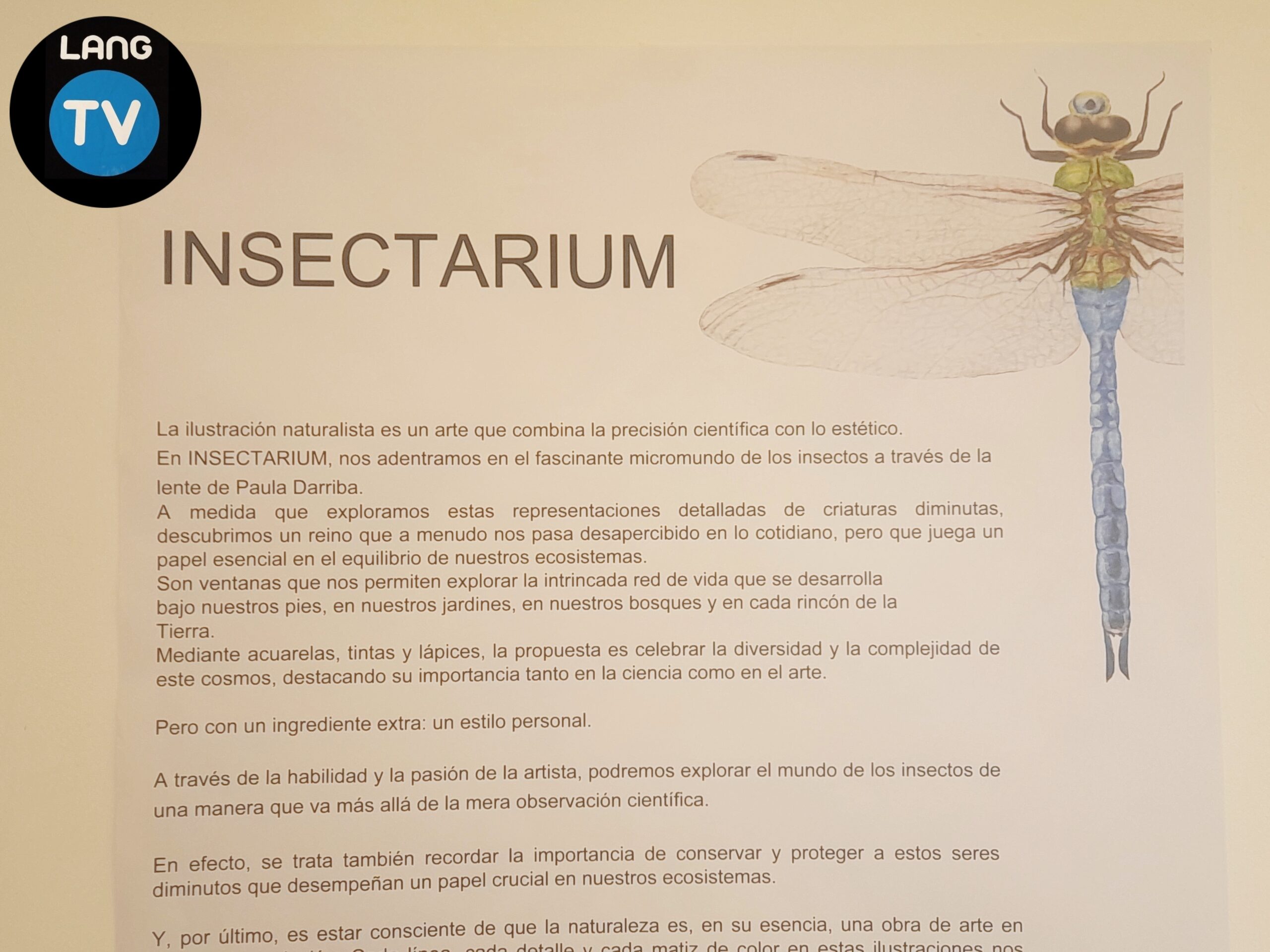 CULTURA: INSECTARIUM, NUEVA MUESTRA DEL MAC