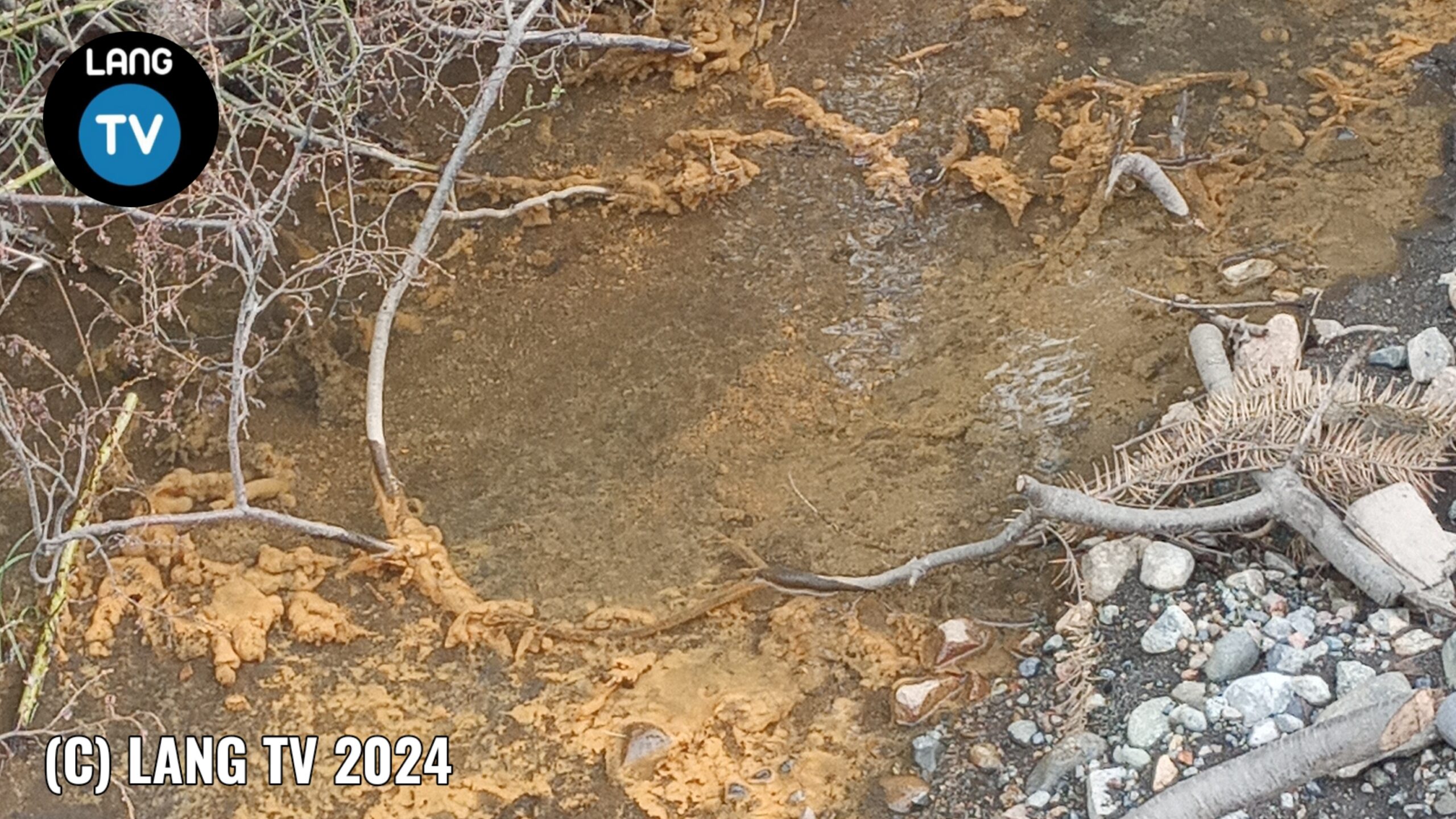 SALUD: EL AGUA NO ESTA CONTAMINADA, VUELVEN LAS CLASES Y EL VOLLEY