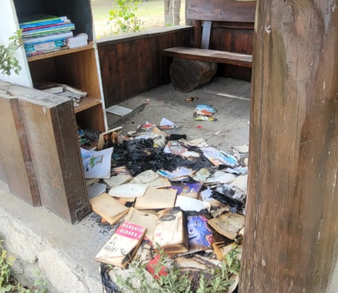 SOCIEDAD: SOBRE QUEMA DE LIBROS Y HOLOCAUSTOS