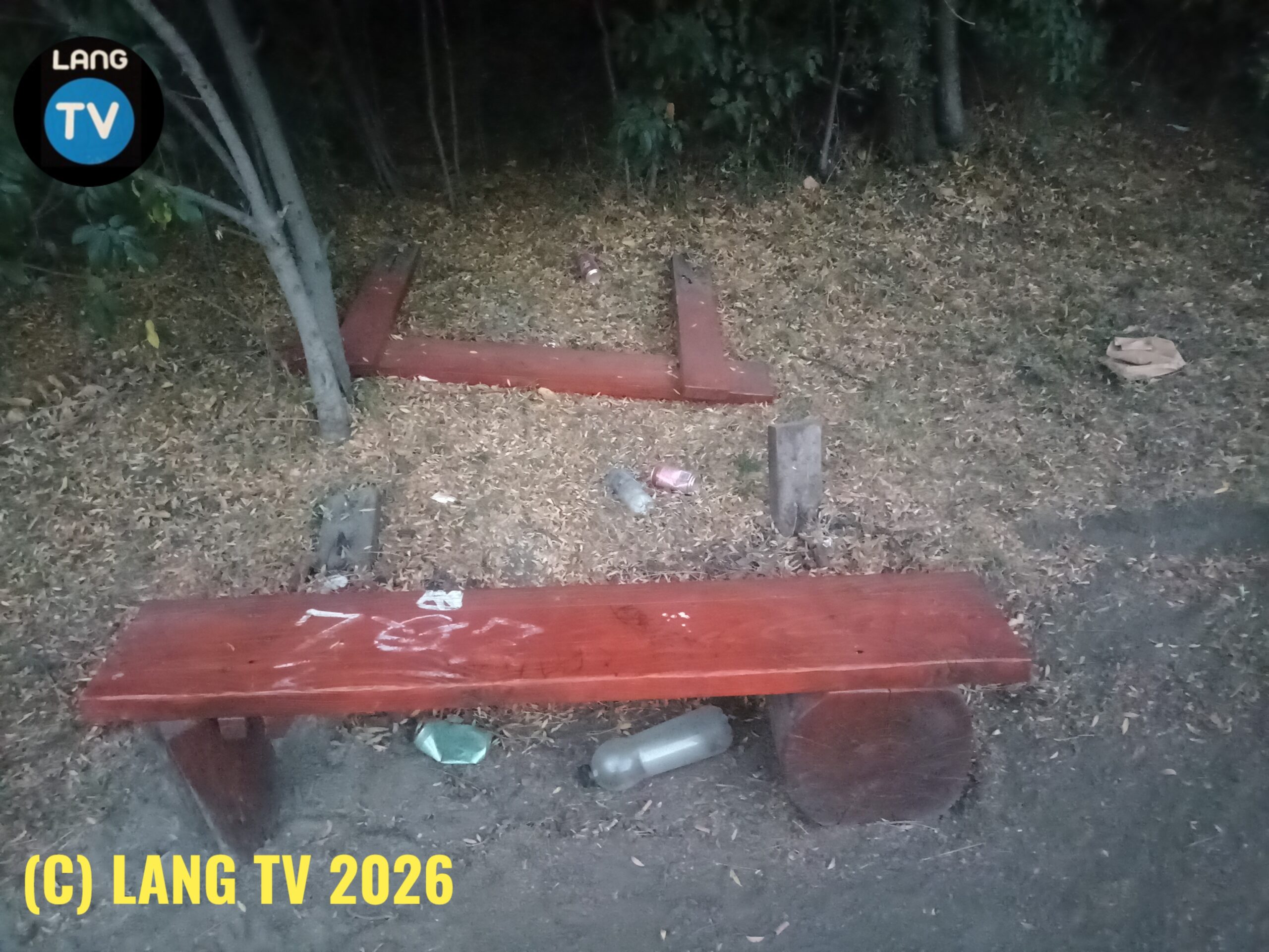 SOCIEDAD: DE VANDALISMO Y SOCIEDADES