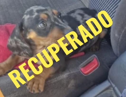 SOCIEDAD: APARECIO COKY!!!!