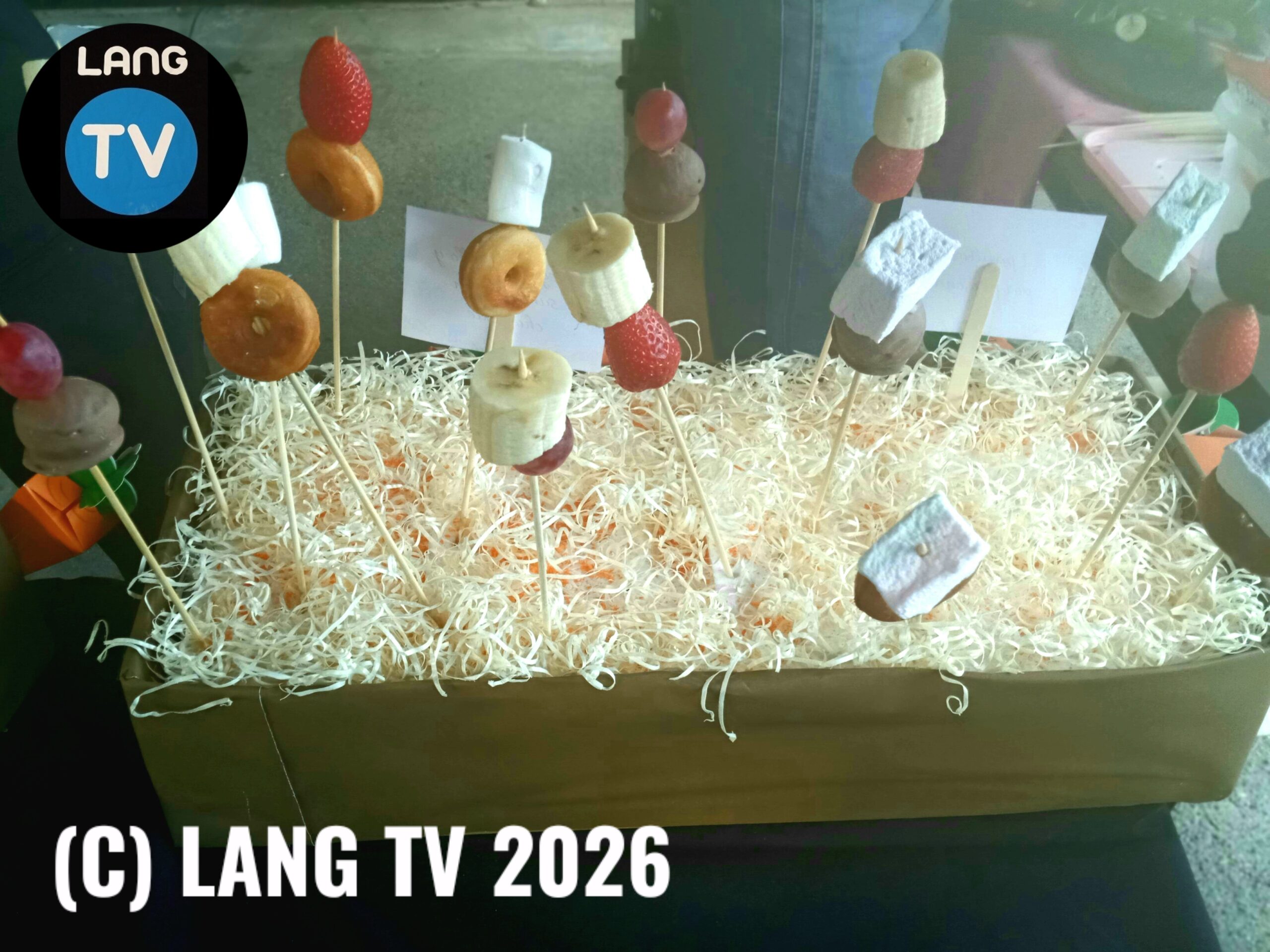 SOCIEDAD: LAS PASCUAS 2026 EN ANGOSTURA