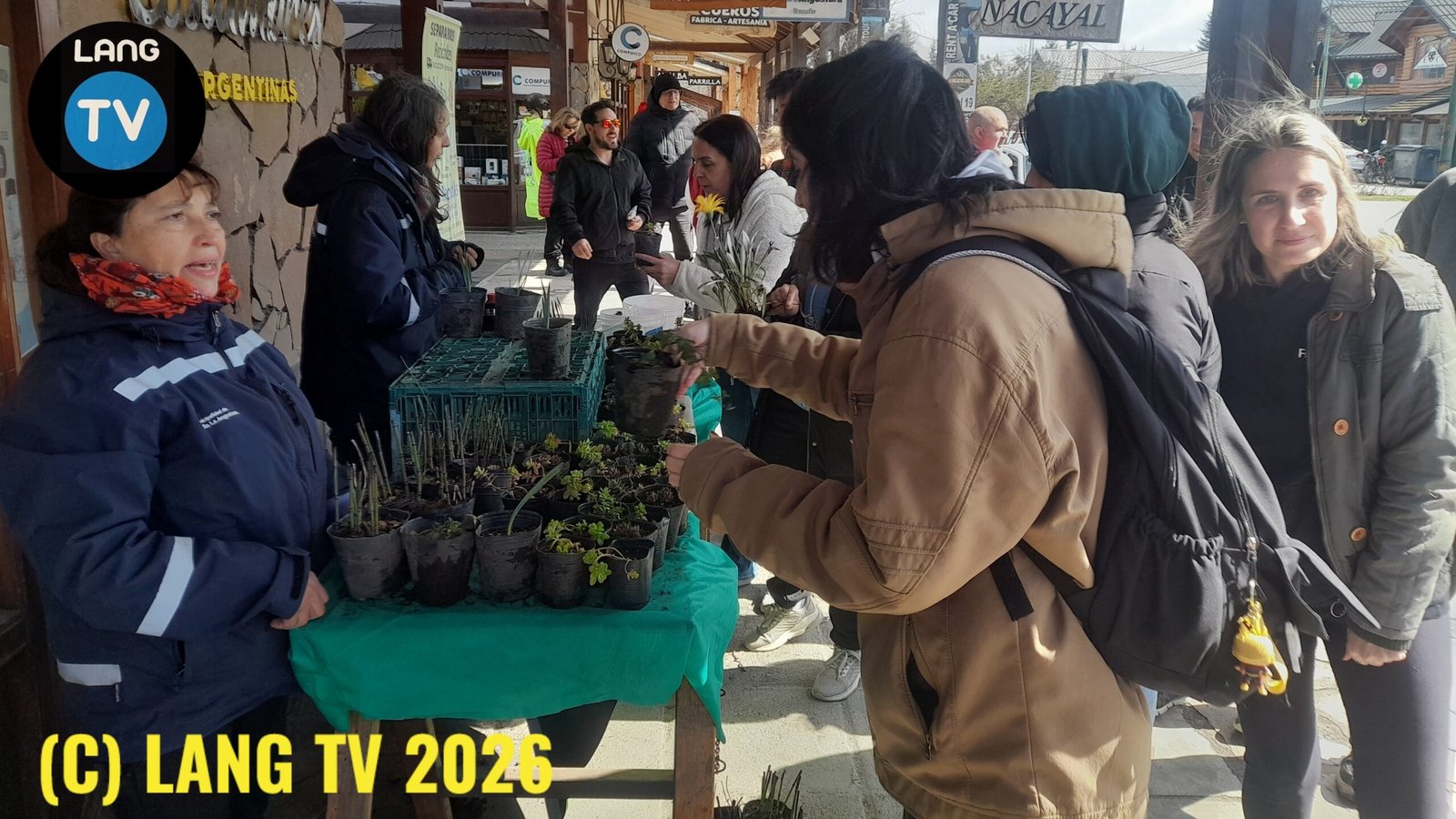 MUNICIPALIDAD: EXITOSO REPARTO DE PLANTINES DEL VIVERO EN EL INICIO DE LA PRIMAVERA