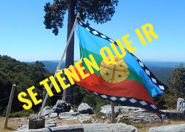 JUSTICIA: BONORINO RESOLVIO CONTRA EL PEDIDO DE NULIDAD MAPUCHE, EL PEDREGOSO ES DE BROERS Y TIENEN 7 DIAS PARA RETIRAR SUS BIENES O LOS PIERDEN