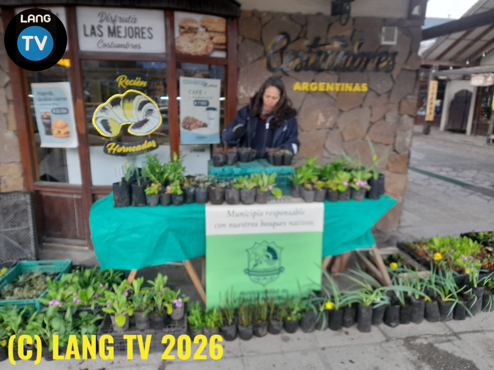 MUNICIPALIDAD: FELIZ PRIMAVERA, VIVERO REGALA PLANTINES EL 21/9 HASTA LAS 13HS